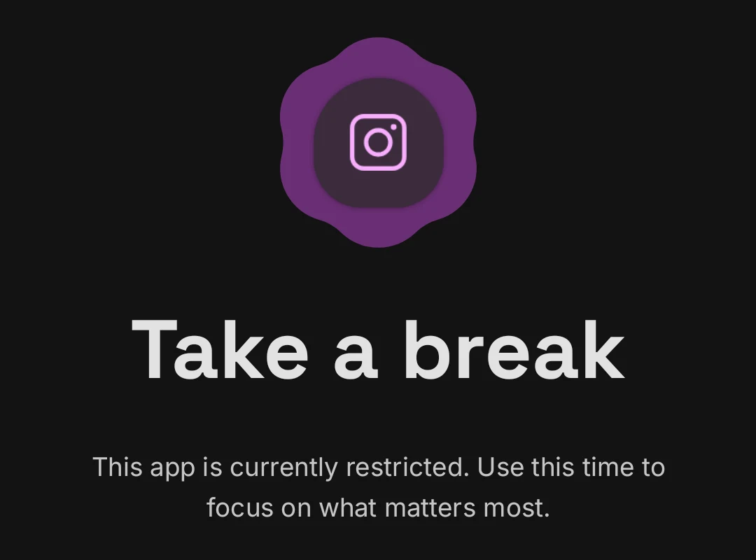 The real Take a break screen: a paused Instagram icon, “Take a break” and “This app is currently restricted. Use this time to focus on what matters most.”